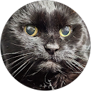 Mark Ekstrom profile picture